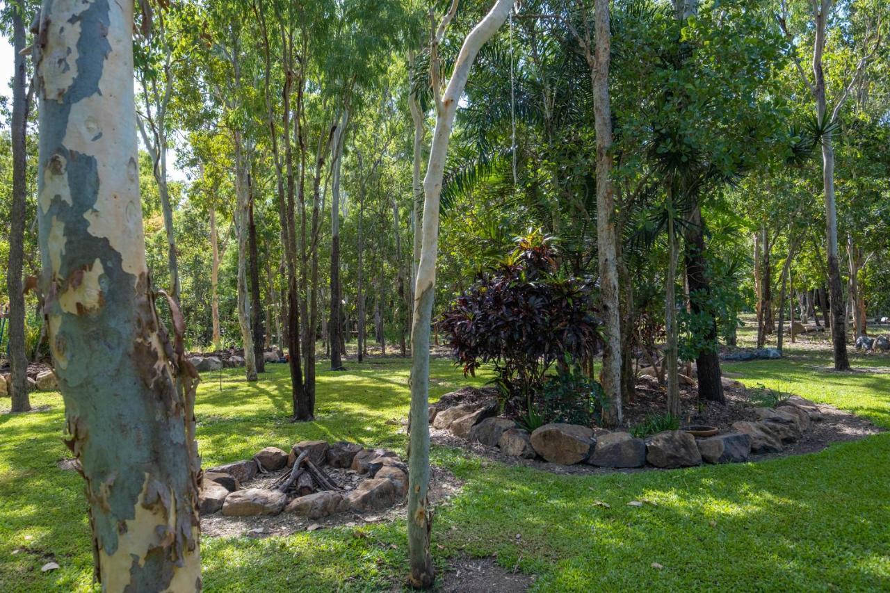 Airlie Beach Eco Cabins Exterior foto