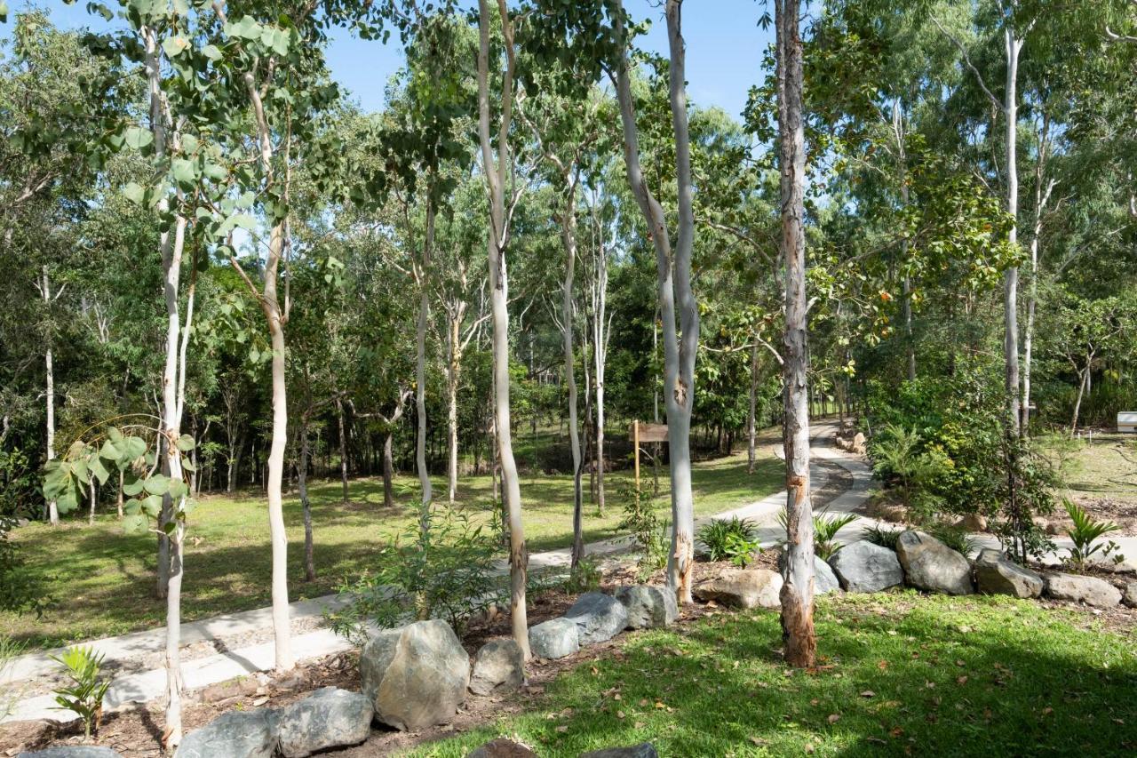 Airlie Beach Eco Cabins Exterior foto